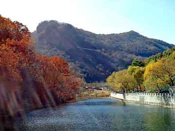 新澳门免费精准大全，景区一票通